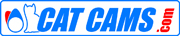 Cat Cams